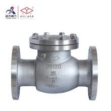 DIN STAINLESS STEEL SWING CHECK VALVE PN1.6/2.5/4.0/6.3